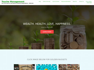 touchemanagement.com snapshot