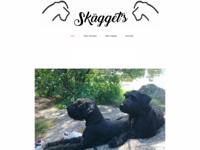 skaggets.se snapshot
