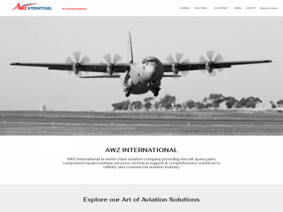awzinternational.org snapshot