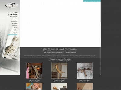 savannahcatbreed.com snapshot