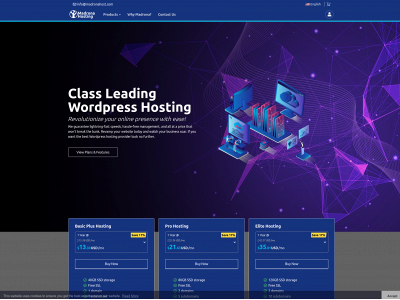 madronahost.com snapshot