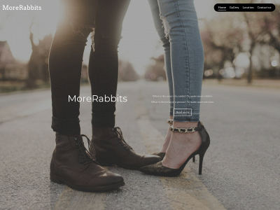 morerabbits.com snapshot