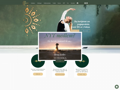 ascendstudio.dk snapshot