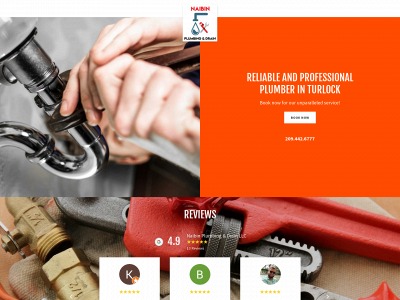 naibinplumbinganddrain.com snapshot
