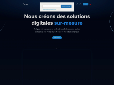 netygo-it.fr snapshot