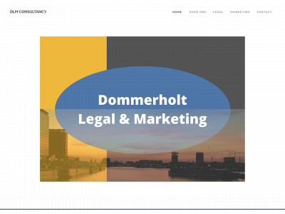 dlmconsultants.nl snapshot
