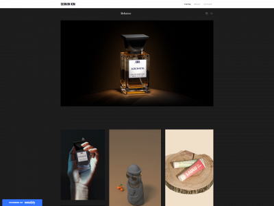 aiseonjinkim.weebly.com snapshot