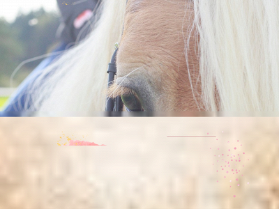 reitsport-kather.de snapshot