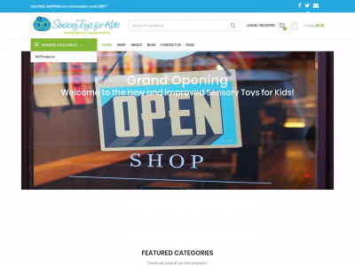 sensorytoysforkids.com snapshot