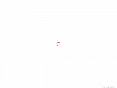 webwizzies.nl snapshot