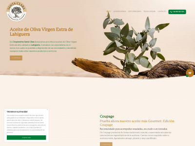 alcuzasantaclara.com snapshot