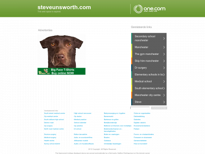 steveunsworth.com snapshot