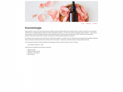 veidovalymaskaune.lt snapshot