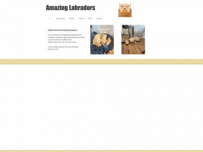 amazinglabradors.se snapshot