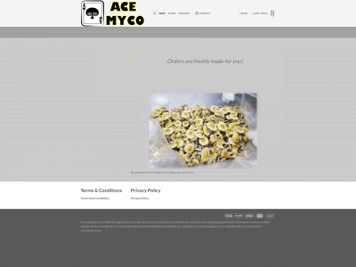 acemy.co snapshot