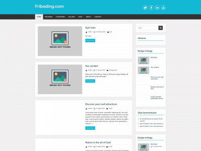 fribading.com snapshot
