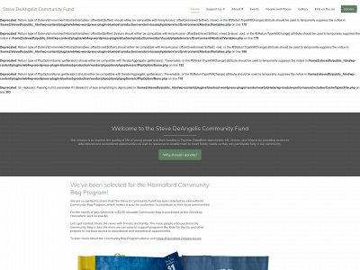 stevedfund.org snapshot