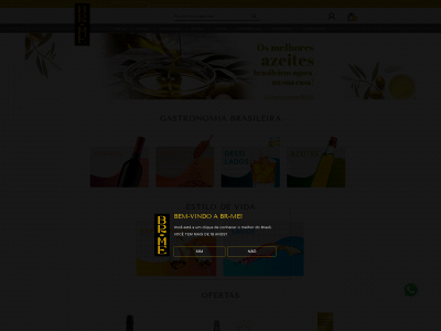 ethylica.com.br snapshot