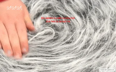 esmeedros.nl snapshot