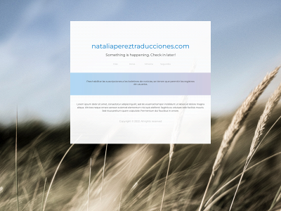 nataliapereztraducciones.com snapshot