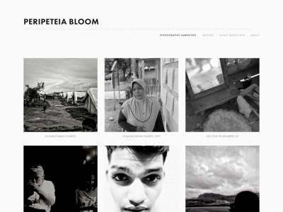 davidbrickeybloomer.com snapshot