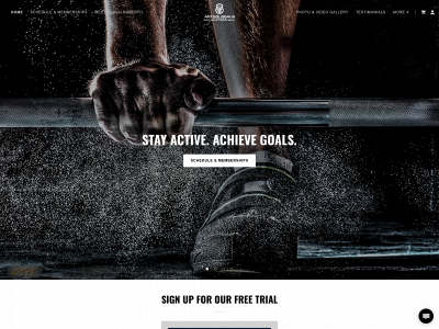 activegoalsfitness.com snapshot
