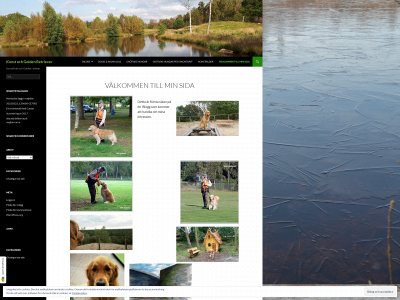 aimo.se snapshot