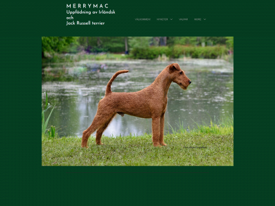 merrymac.se snapshot