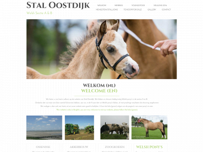 staloostdijk.com snapshot