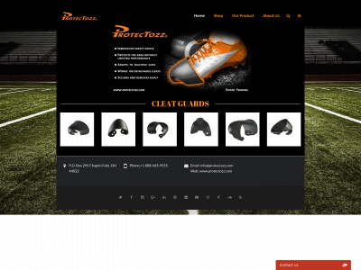 protectozz.com snapshot