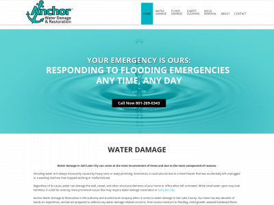 anchorrestoration.com snapshot