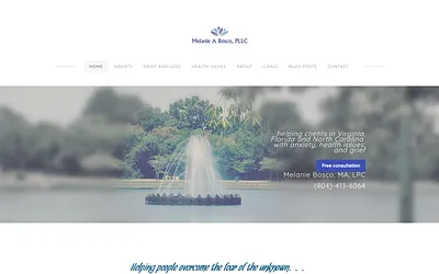 www.melanieaboscopllc.com snapshot