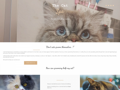 the4paws.co.uk snapshot