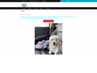 abandcogoldens.com snapshot
