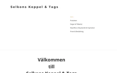 selkons.se snapshot