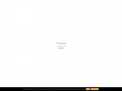 vynopolis.lt snapshot