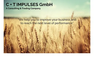 ct-impulses.com snapshot