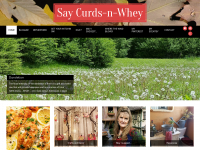 saycurdsnwhey.com snapshot