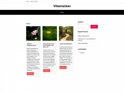 vitasnackan.se snapshot