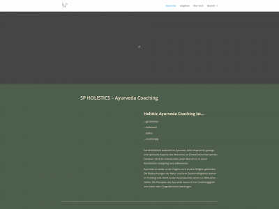 sp-holistics.com snapshot