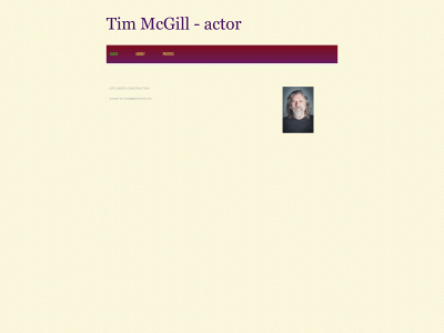 timmcgill.co.uk snapshot