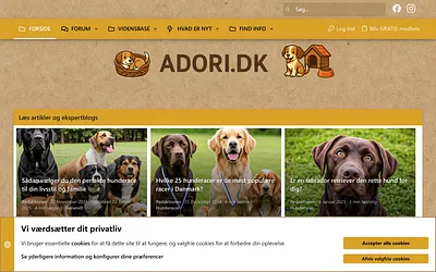 adori.dk snapshot