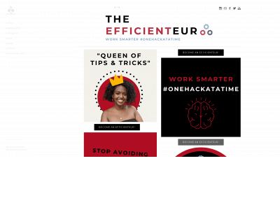 www.theefficienteur.com snapshot