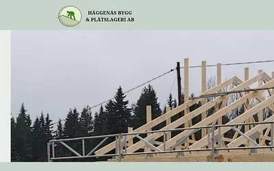 haggenasbyggochplat.se snapshot