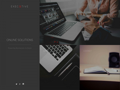 execqtive.com snapshot