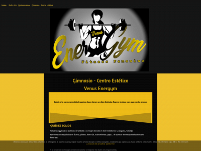 venusenergym.com snapshot