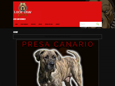 presacanarydogsflorida.com snapshot