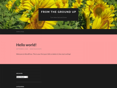 fromthegroundupcr.com snapshot