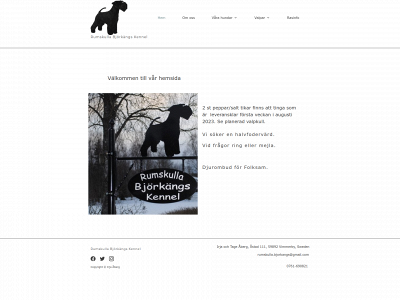 rumskullabjorkangs.se snapshot