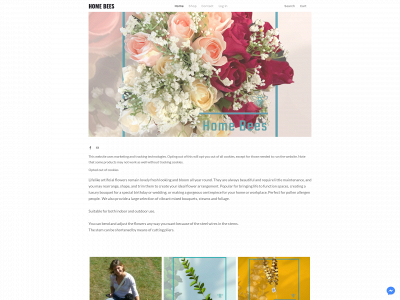 www.homebees.co.uk snapshot